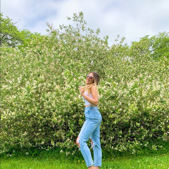 Hailey - Picture 2 of 2